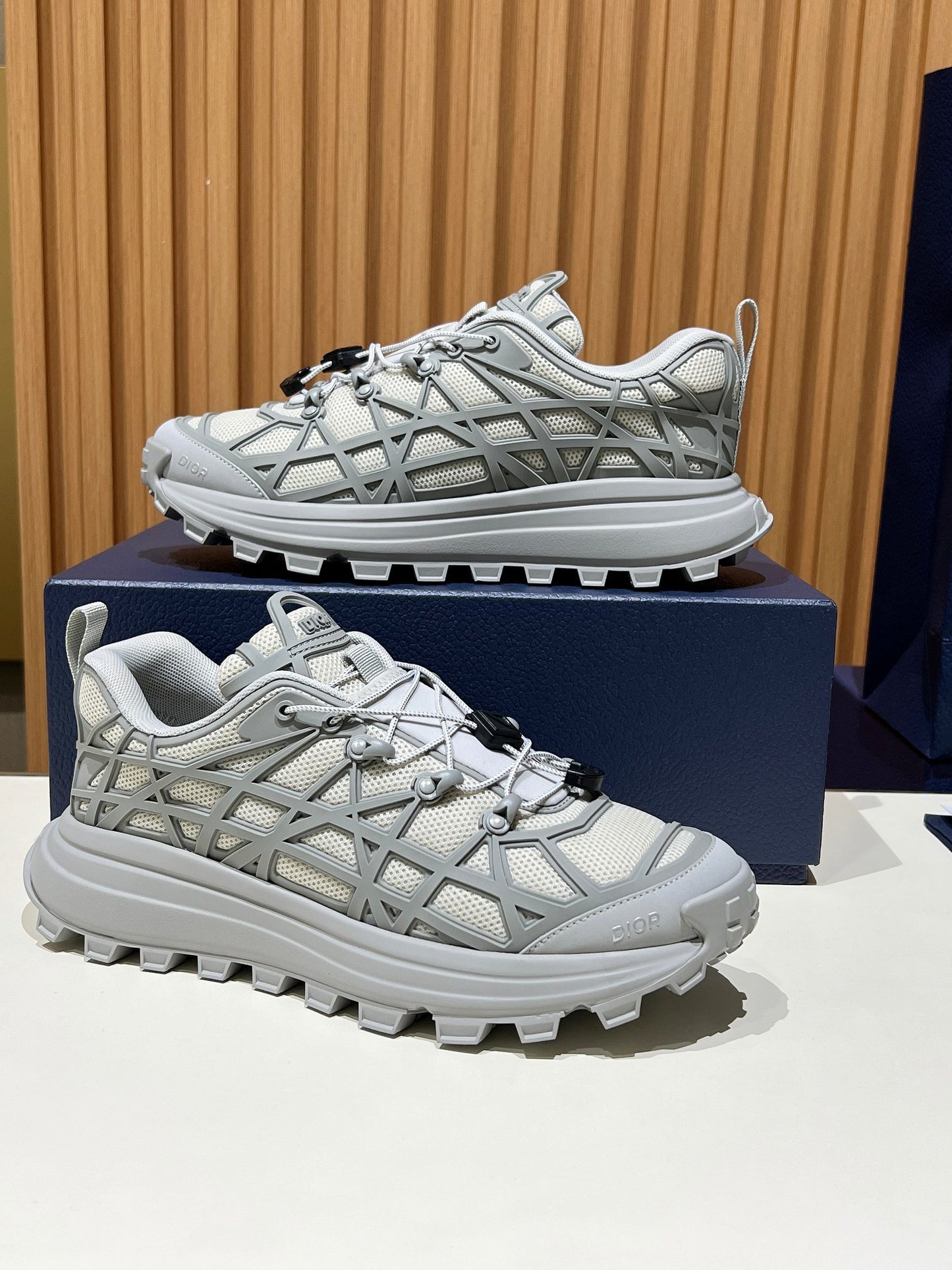 Dior B31 Grey/Cream