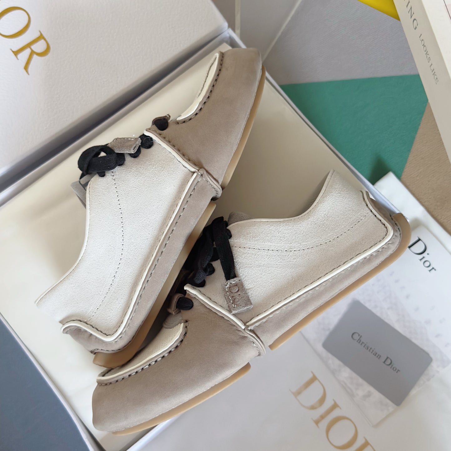 Dior Roadie Low White Black