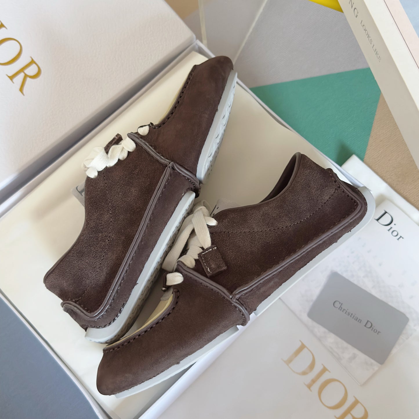 Dior Roadie Low Brown