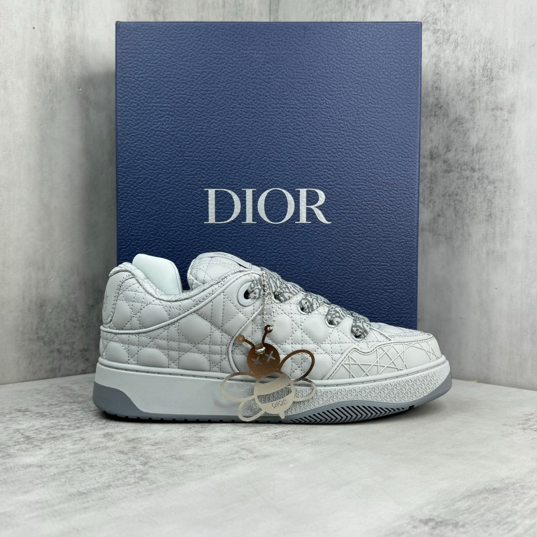 Dior B9S Grey/White