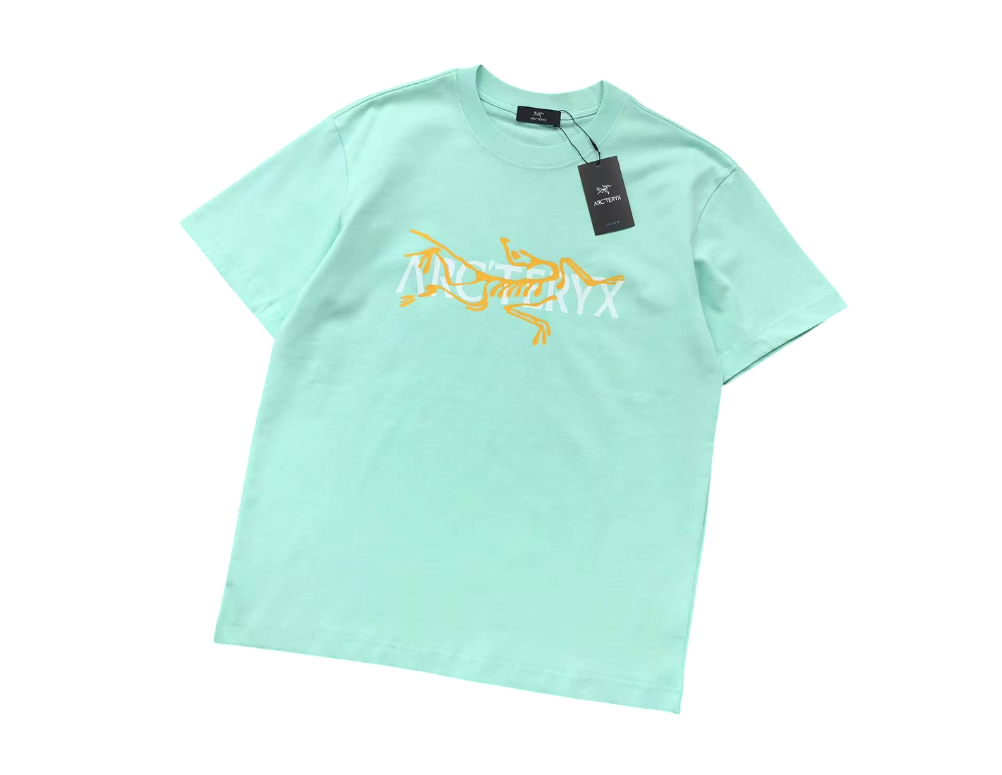 Arc'teryx Logo Bird Tee - (MINT GREEN)