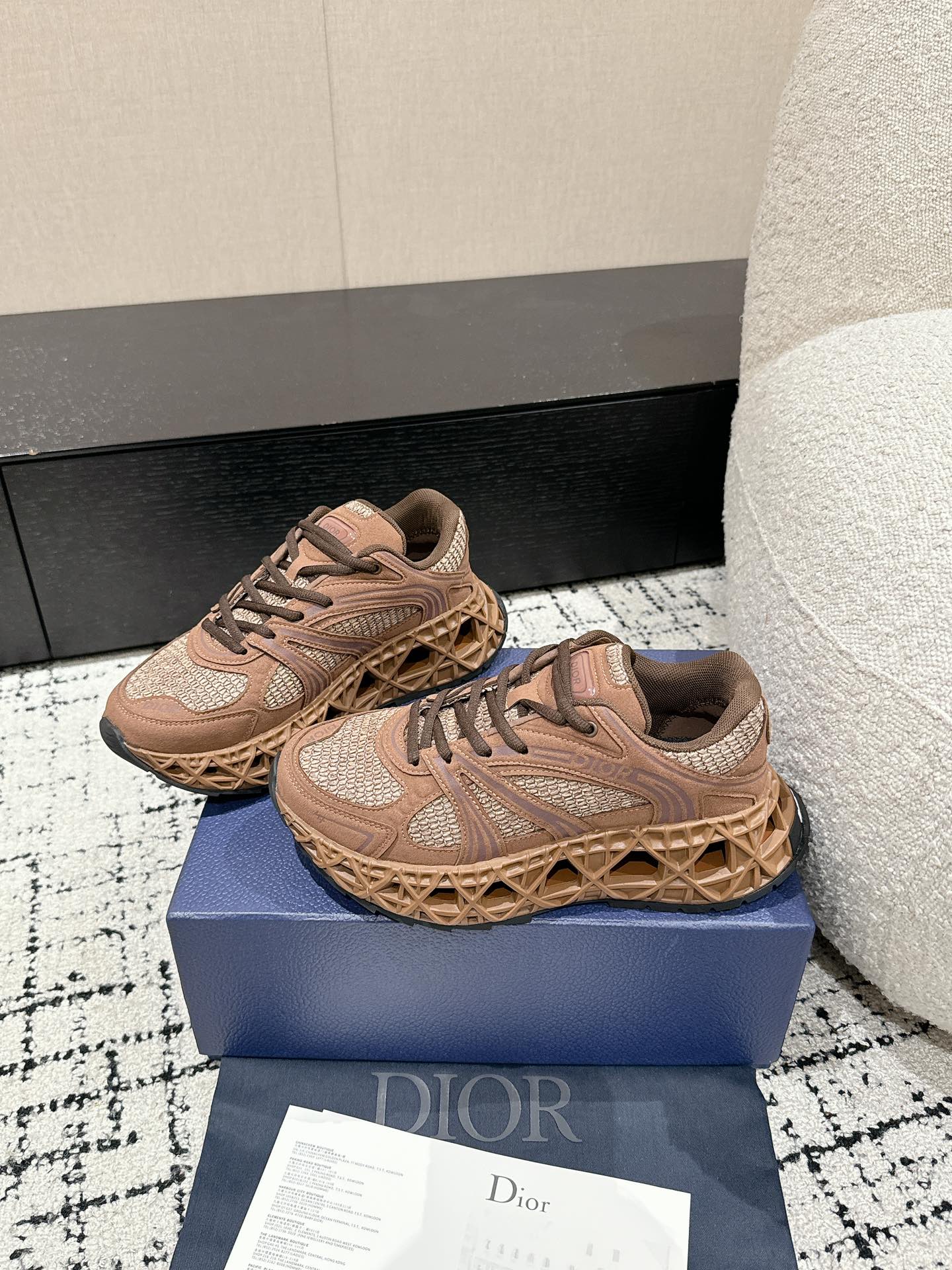 Dior B35 Earth Brown