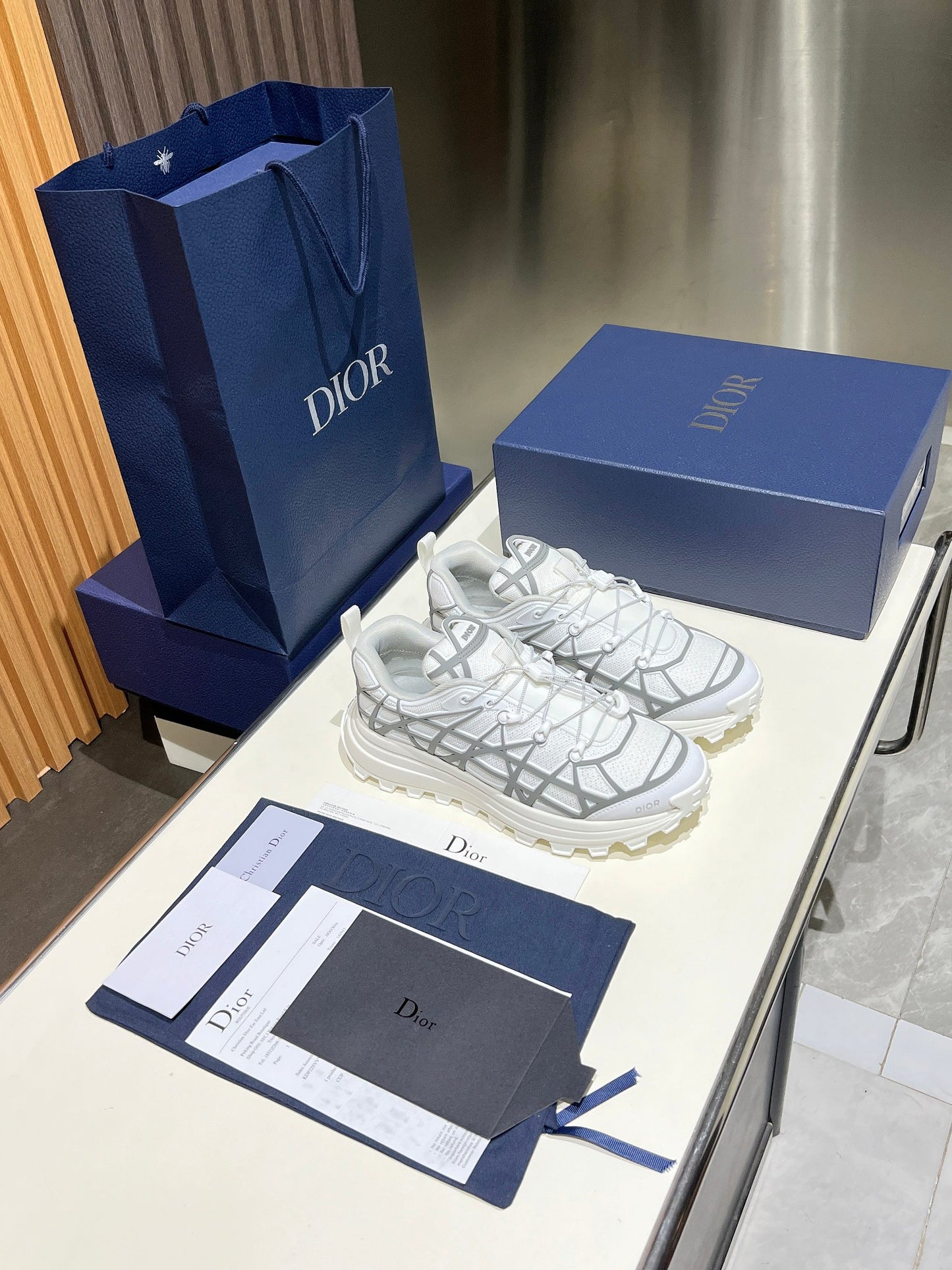 Dior B31 White/Grey