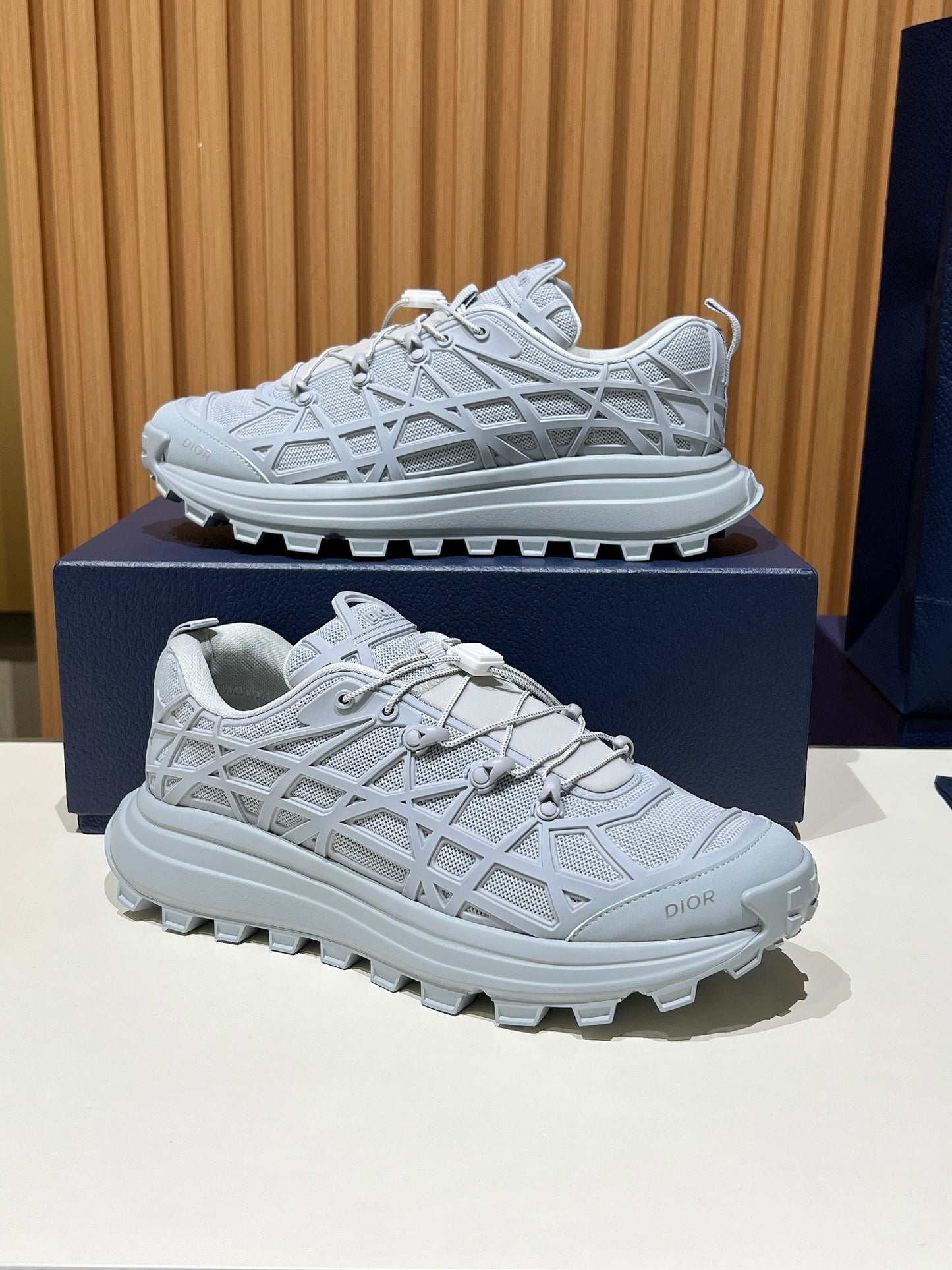 Dior B31 Grey