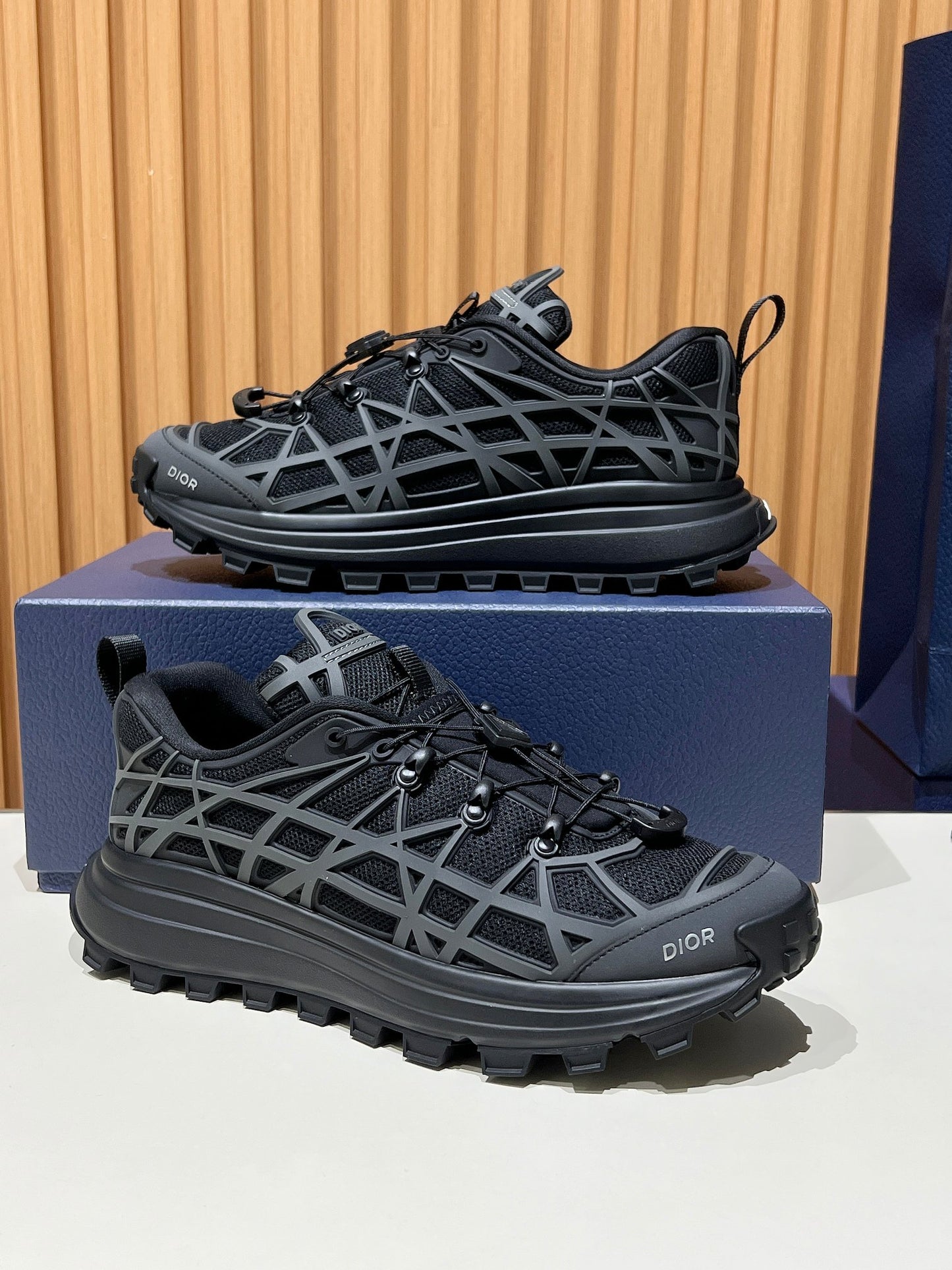 Dior B31 Black