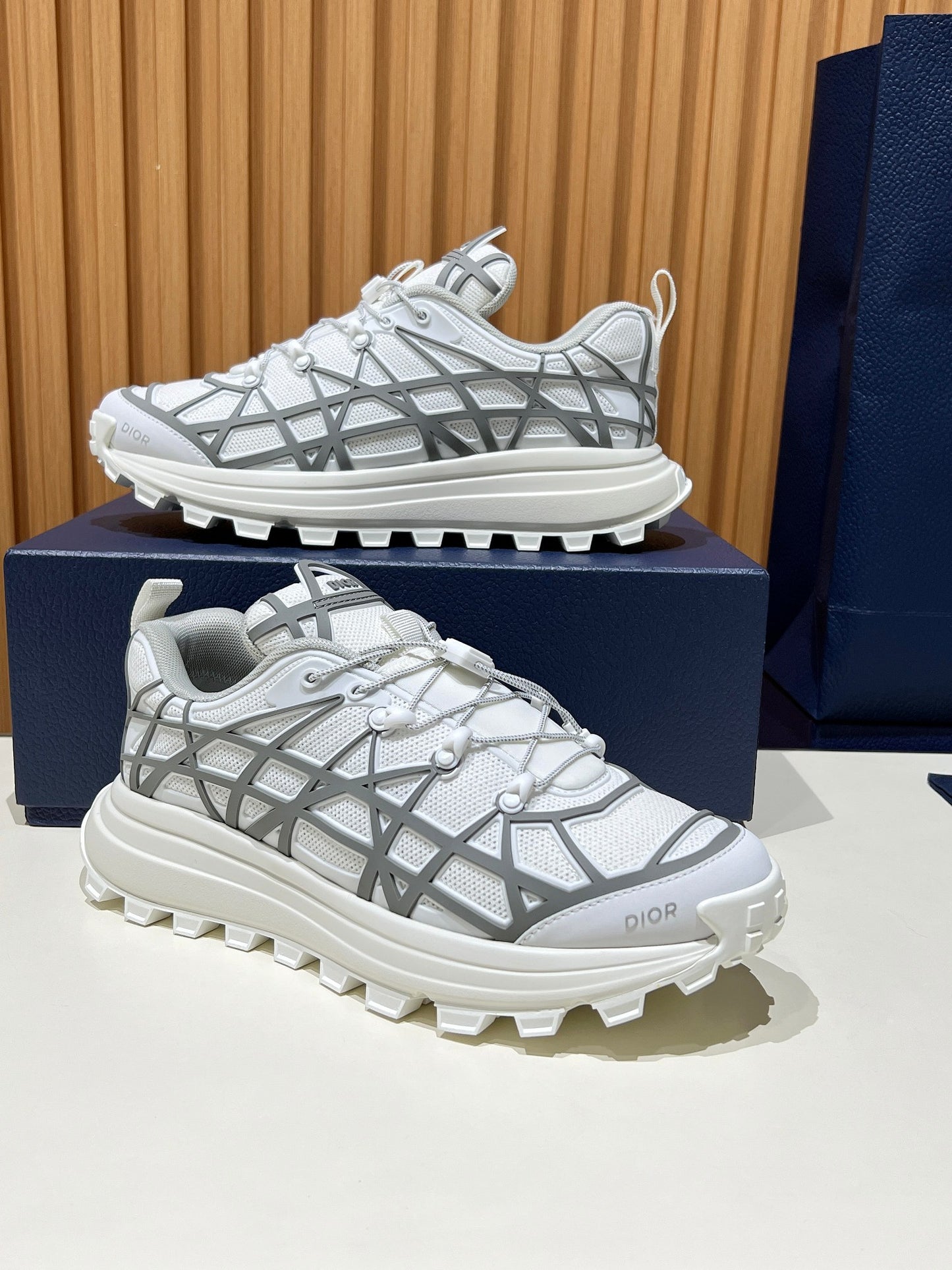 Dior B31 White/Grey