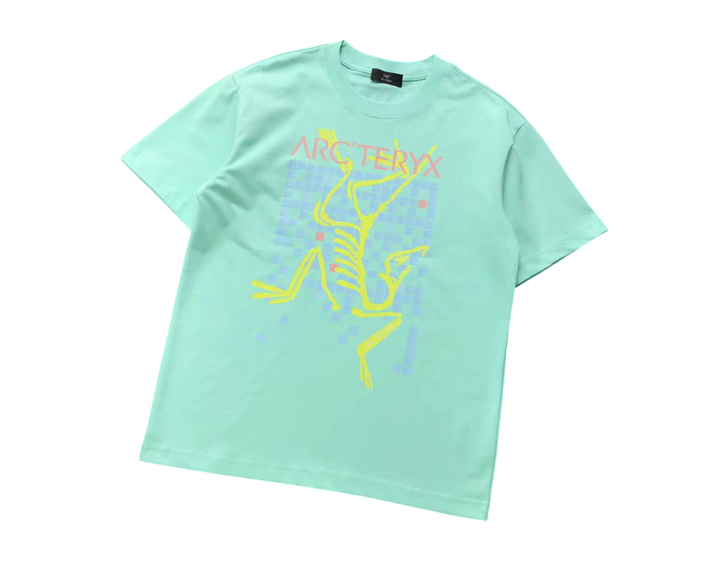 Arc'teryx Mosaic Tee - (MINT GREEN)