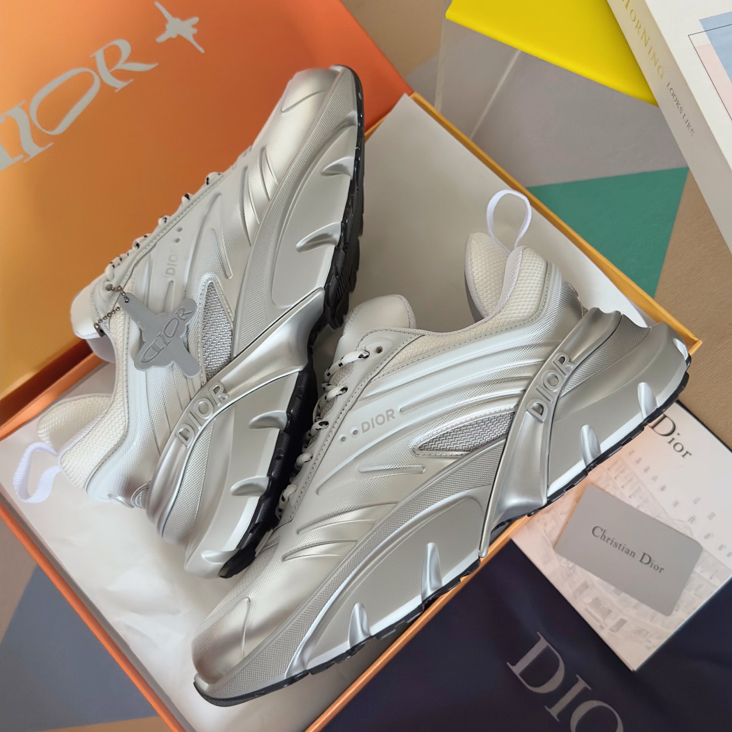 Dior x Lewis Hamilton B44 White Grey