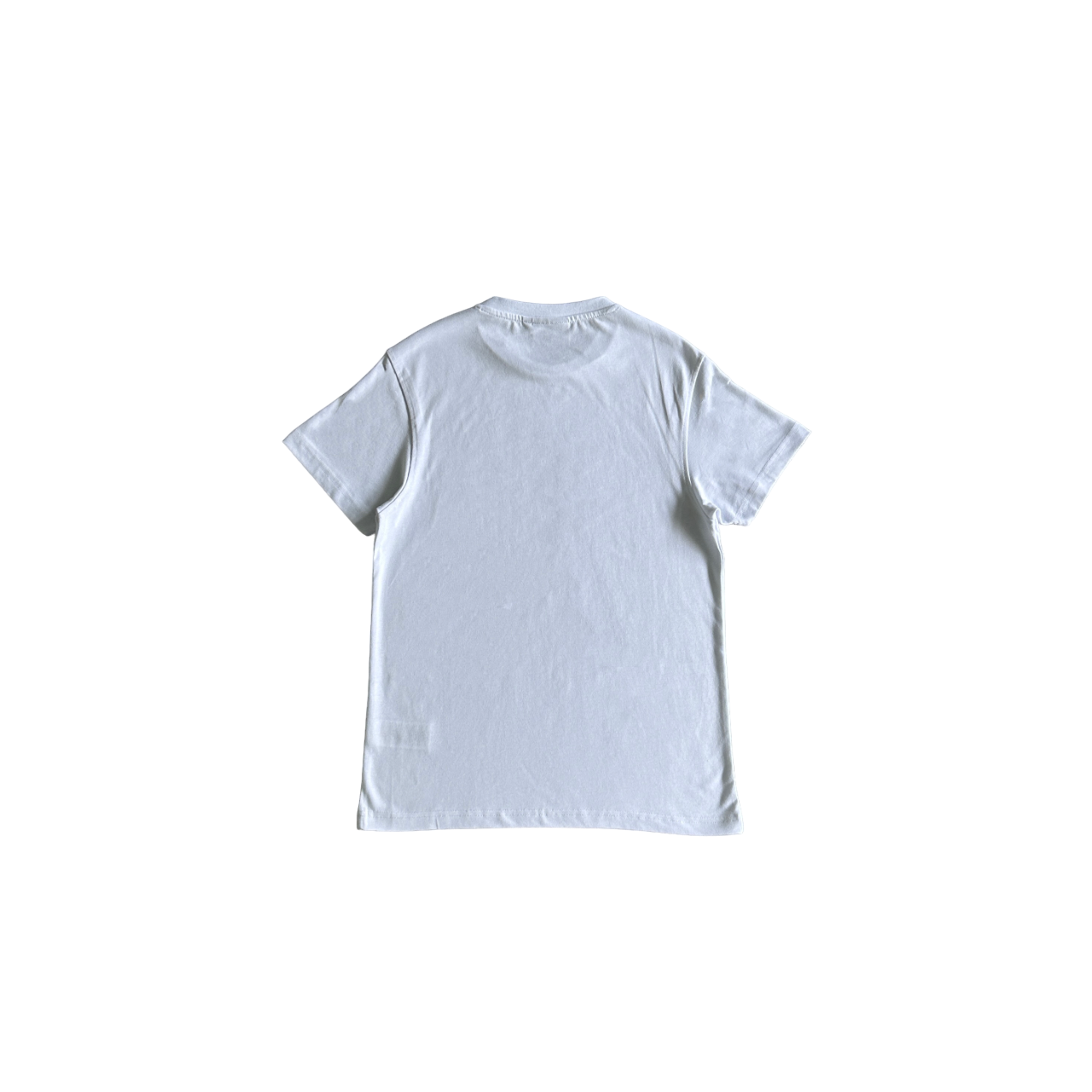 Syna World x Evian H20 Tee - (WHITE)