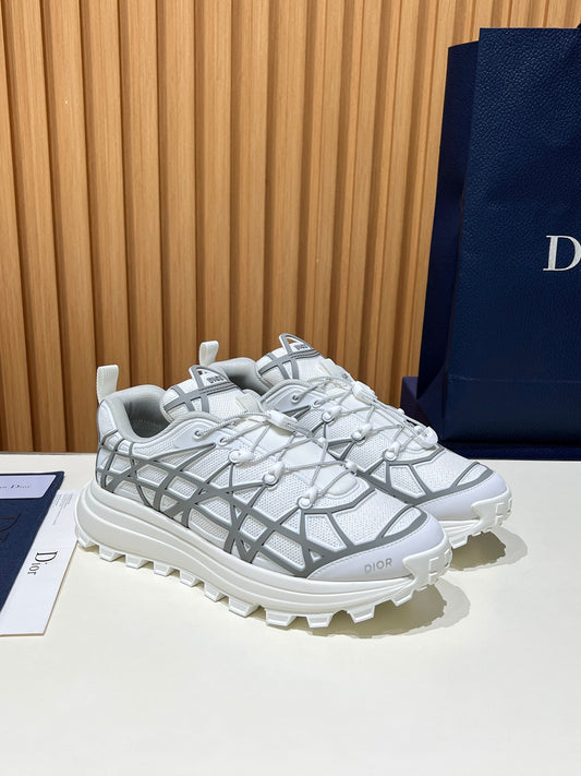 Dior B31 White/Grey