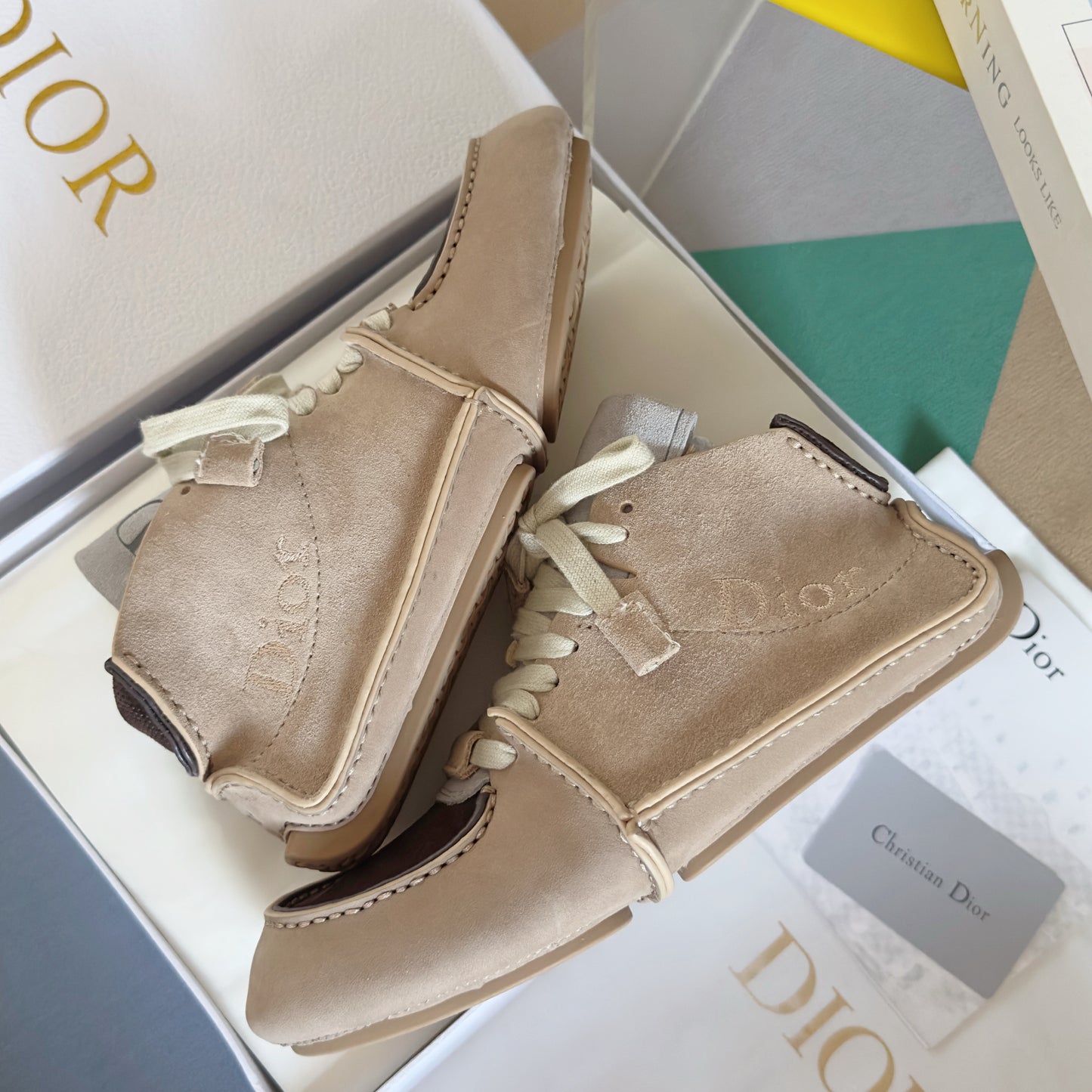 Dior Roadie Suede Brown