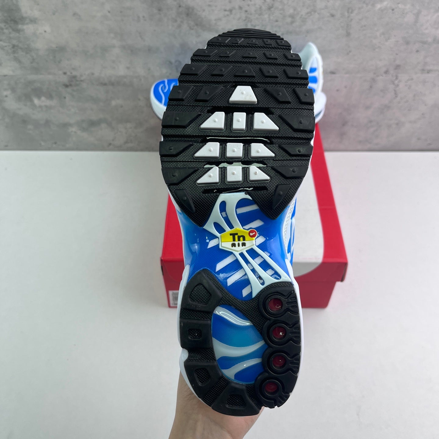 Nike Air Max Plus TN Sky Blue