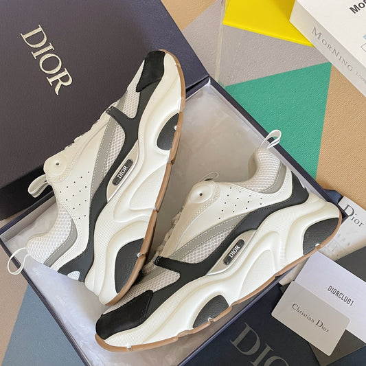 Dior B22 White/Black