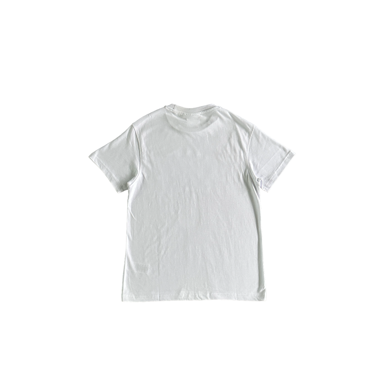 Syna World Ice Tee - (WHITE)