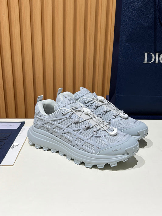 Dior B31 Grey